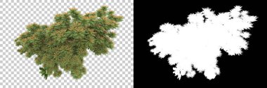 Orman ıssız. Afişler, afişler ve fotoğraf postaları için kullanışlı bir görüntü. 3d oluşturma.