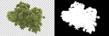 Orman ıssız. Afişler, afişler ve fotoğraf postaları için kullanışlı bir görüntü. 3d oluşturma.