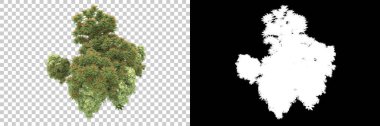 Orman ıssız. Afişler, afişler ve fotoğraf postaları için kullanışlı bir görüntü. 3d oluşturma.