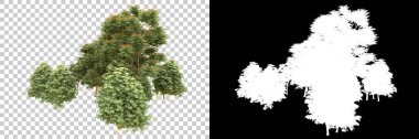 Orman ıssız. Afişler, afişler ve fotoğraf postaları için kullanışlı bir görüntü. 3d oluşturma.