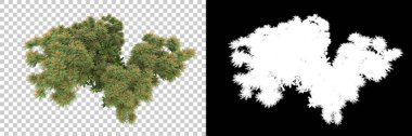 Orman ıssız. Afişler, afişler ve fotoğraf postaları için kullanışlı bir görüntü. 3d oluşturma.