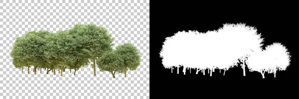 Forest isolated. Image useful for banners nd poster or photo maipulations. 3d rendering.