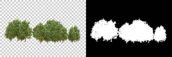 Forest isolated. Image useful for banners nd poster or photo maipulations. 3d rendering.