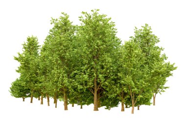 Beyaz arka planda yeşil ağaçlar. 3D görüntüleme. Doğa