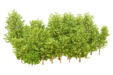 Beyaz arka planda yeşil ağaçlar. 3D görüntüleme. Doğa