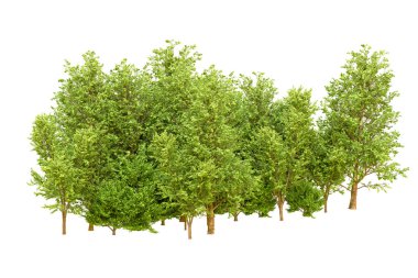 Beyaz arka planda yeşil ağaçlar. 3D görüntüleme. Doğa