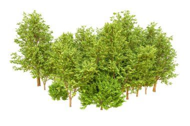 Beyaz arka planda yeşil ağaçlar. 3D görüntüleme. Doğa