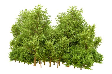 Beyaz arka planda yeşil ağaçlar. 3D görüntüleme. Doğa