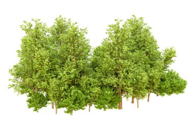 Beyaz arka planda yeşil ağaçlar. 3D görüntüleme. Doğa