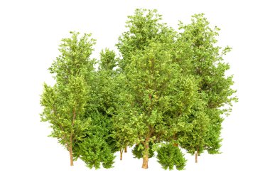 Beyaz arka planda yeşil ağaçlar. 3D görüntüleme. Doğa