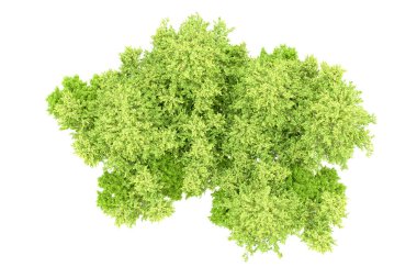 Beyaz arka planda yeşil ağaçlar. 3D görüntüleme. Doğa