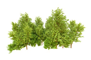 Beyaz arka planda yeşil ağaçlar. 3D görüntüleme. Doğa