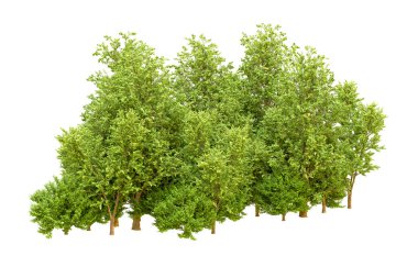 Beyaz arka planda yeşil ağaçlar. 3D görüntüleme. Doğa