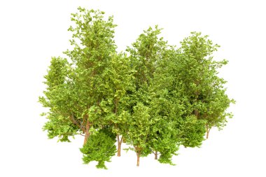 Beyaz arka planda yeşil ağaçlar. 3D görüntüleme. Doğa