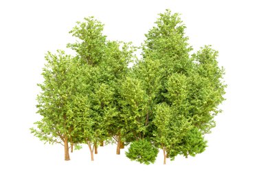 Beyaz arka planda yeşil ağaçlar. 3D görüntüleme. Doğa