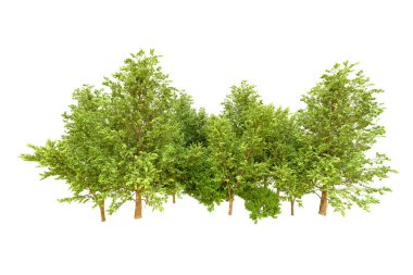 Beyaz arka planda yeşil ağaçlar. 3D görüntüleme. Doğa