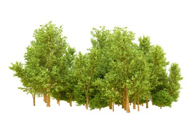 Beyaz arka planda yeşil ağaçlar. 3D görüntüleme. Doğa