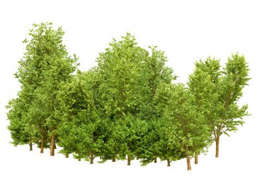 Beyaz arka planda yeşil ağaçlar. 3D görüntüleme. Doğa