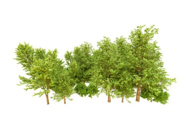 Beyaz arka planda yeşil ağaçlar. 3D görüntüleme. Doğa