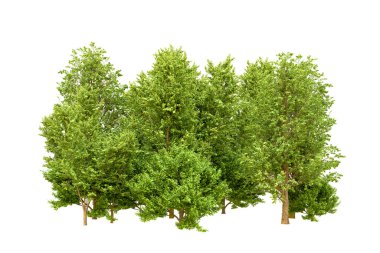 Beyaz arka planda yeşil ağaçlar. 3D görüntüleme. Doğa