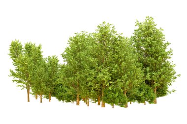 Beyaz arka planda yeşil ağaçlar. 3D görüntüleme. Doğa