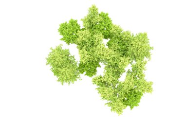 Beyaz arka planda yeşil ağaçlar. 3D görüntüleme. Doğa