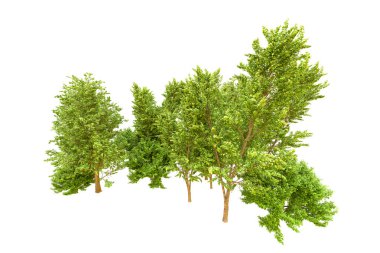 Beyaz arka planda yeşil ağaçlar. 3D görüntüleme. Doğa