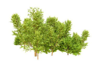 Beyaz arka planda yeşil ağaçlar. 3D görüntüleme. Doğa