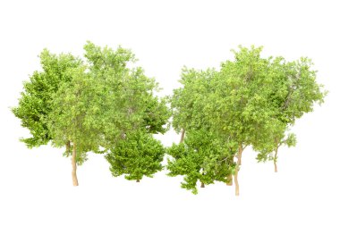 Beyaz arka planda yeşil ağaçlar. 3D görüntüleme. Doğa