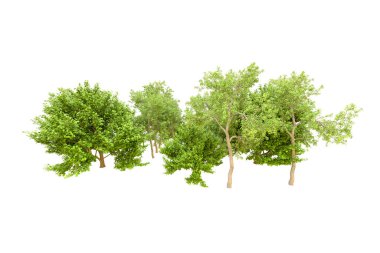 Beyaz arka planda yeşil ağaçlar. 3D görüntüleme. Doğa