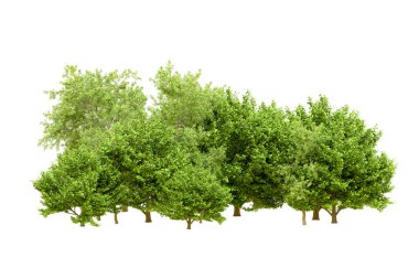 Beyaz arka planda yeşil ağaçlar. 3D görüntüleme. Doğa