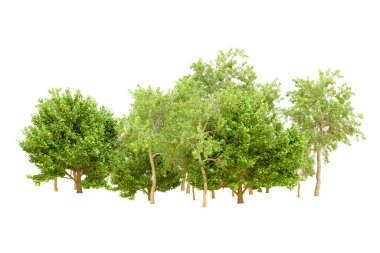 Beyaz arka planda yeşil ağaçlar. 3D görüntüleme. Doğa