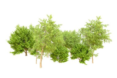 Beyaz arka planda yeşil ağaçlar. 3D görüntüleme. Doğa