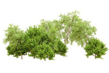 Beyaz arka planda yeşil ağaçlar. 3D görüntüleme. Doğa