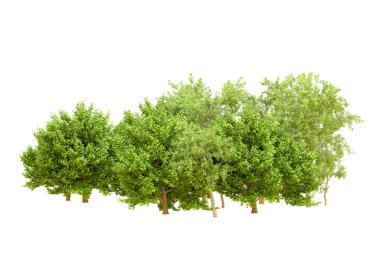 Beyaz arka planda yeşil ağaçlar. 3D görüntüleme. Doğa