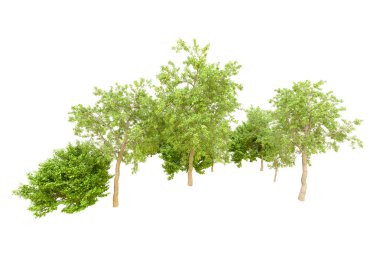 Beyaz arka planda yeşil ağaçlar. 3D görüntüleme. Doğa