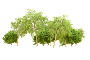 Beyaz arka planda yeşil ağaçlar. 3D görüntüleme. Doğa