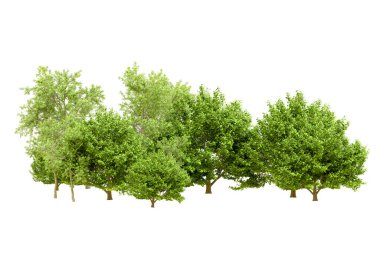 Beyaz arka planda yeşil ağaçlar. 3D görüntüleme. Doğa