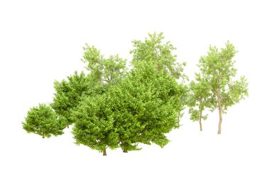 Beyaz arka planda yeşil ağaçlar. 3D görüntüleme. Doğa