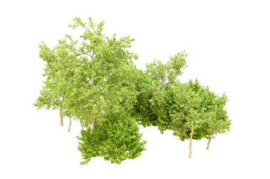 Beyaz arka planda yeşil ağaçlar. 3D görüntüleme. Doğa