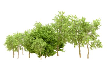 Beyaz arka planda yeşil ağaçlar. 3D görüntüleme. Doğa