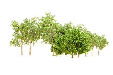 Beyaz arka planda yeşil ağaçlar. 3D görüntüleme. Doğa