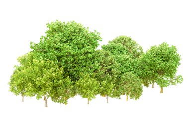 Beyaz arka planda yeşil ağaçlar. 3D görüntüleme. Doğa