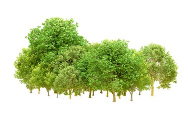 Beyaz arka planda yeşil ağaçlar. 3D görüntüleme. Doğa