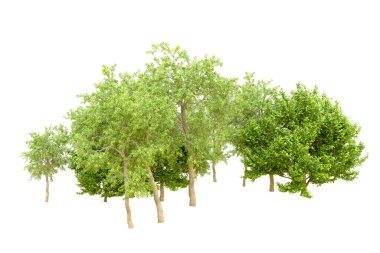 Beyaz arka planda yeşil ağaçlar. 3D görüntüleme. Doğa