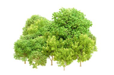 Beyaz arka planda yeşil ağaçlar. 3D görüntüleme. Doğa