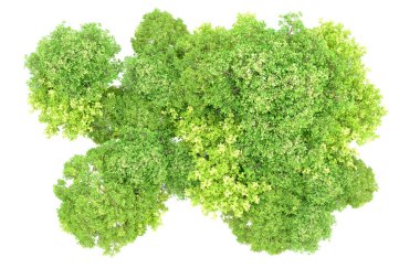 Beyaz arka planda yeşil ağaçlar. 3D görüntüleme. Doğa