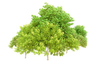 Beyaz arka planda yeşil ağaçlar. 3D görüntüleme. Doğa