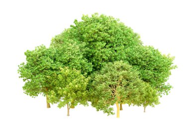 Beyaz arka planda yeşil ağaçlar. 3D görüntüleme. Doğa