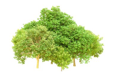 Beyaz arka planda yeşil ağaçlar. 3D görüntüleme. Doğa